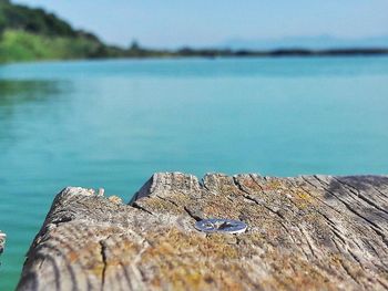 Close-up of wood against sea