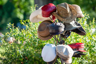 Close-up of flowers in basket on field