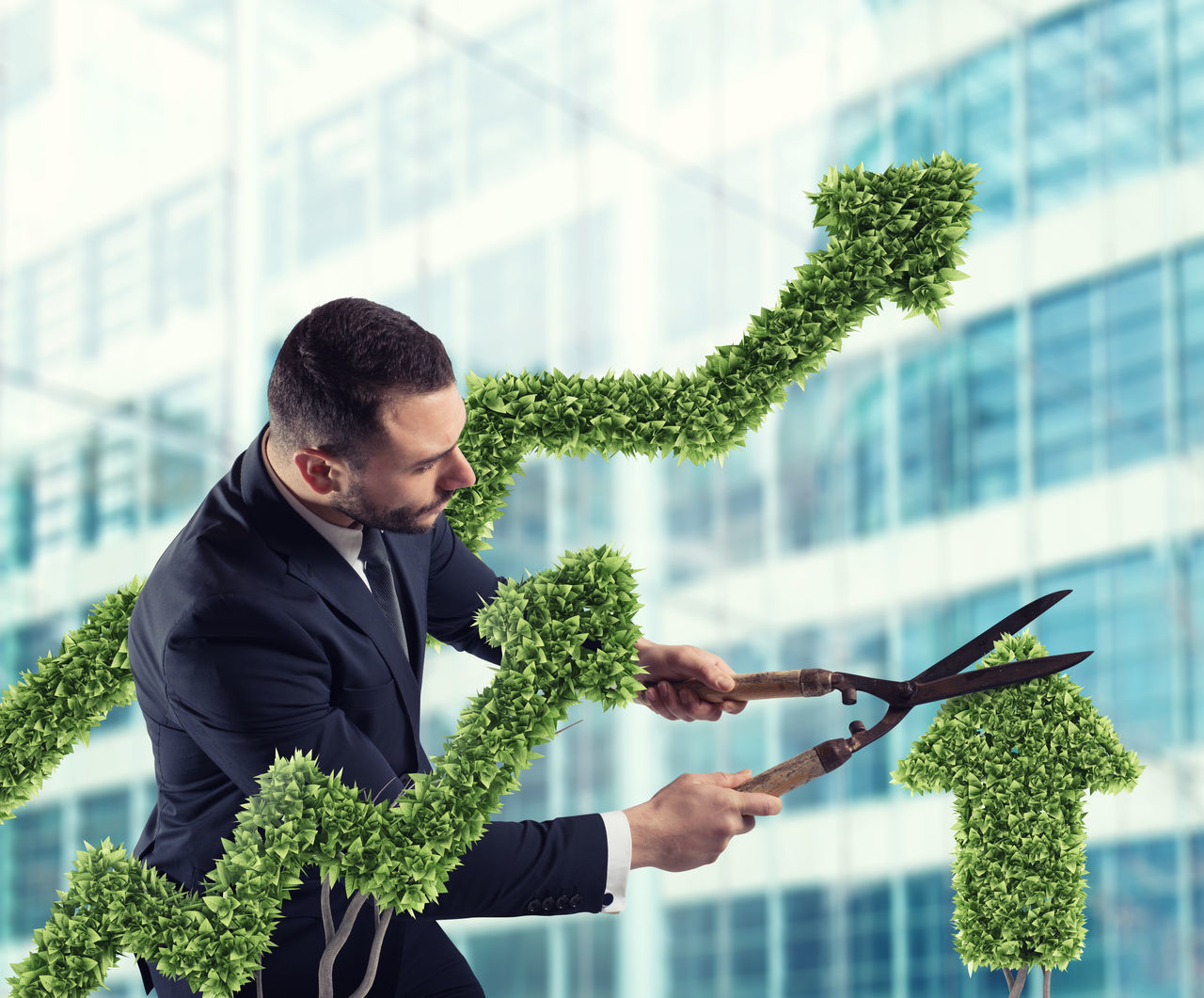 YOUNG MAN HOLDING PLANT