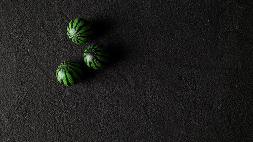 High angle view of vegetables