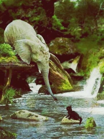 animal themes, animals in the wild, wildlife, one animal, water, bird, nature, full length, lake, side view, two animals, leaf, swimming, outdoors, day, beauty in nature, waterfront, focus on foreground, perching, tree