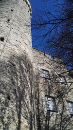 Low angle view of bare tree against clear sky