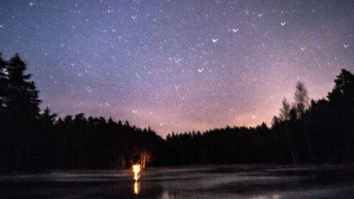 Scenic view of illuminated trees against sky at night