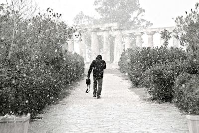 People walking on road amidst plants against sky