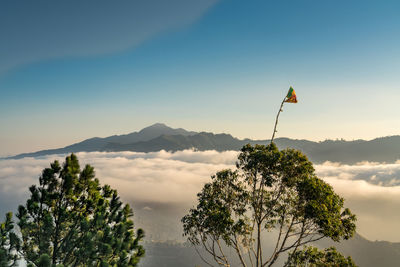 Scenic view of tree mountains against sky