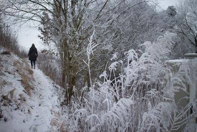 Rear view of person walking on snow covered land