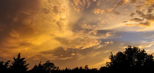 Low angle view of silhouette trees against dramatic sky