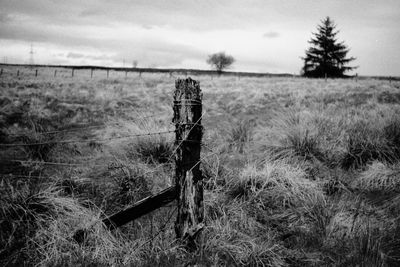 Wooden post on field against sky