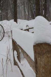 Close-up of frozen tree during winter