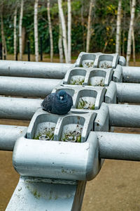 Close-up of metal container