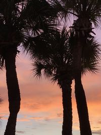 Low angle view of palm trees against sky during sunset