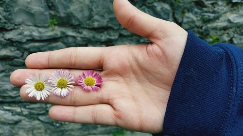Close-up of hands holding flower