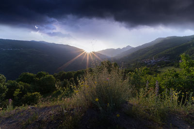 Scenic view of landscape against sky