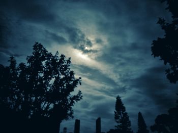 Low angle view of silhouette trees against sky