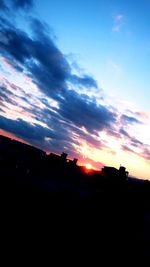 Silhouette of trees at sunset