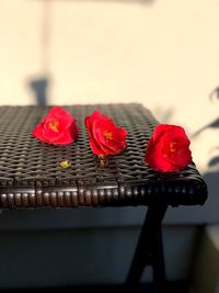 Close-up of red hibiscus against blurred background