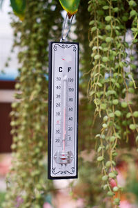 Close-up of thermometer hanging on tree