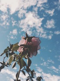Low angle view of cloudy sky