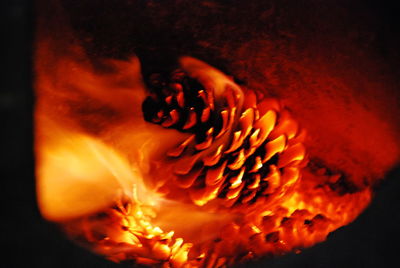 Close-up of bonfire