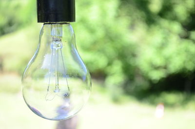 Close-up of light bulb