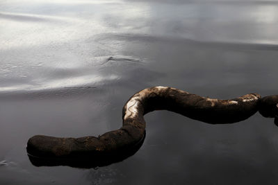 High angle view of rusty metal in lake