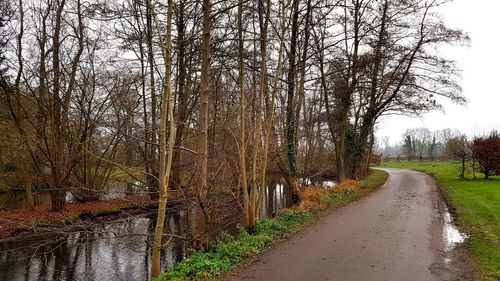 Road amidst bare trees in river against sky