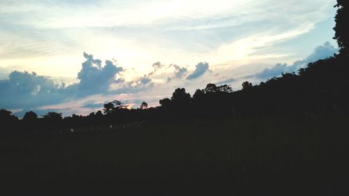 Silhouette trees on landscape against sky at sunset