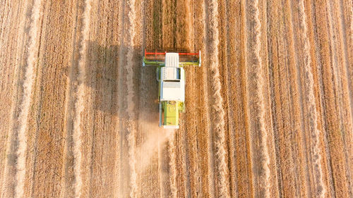 Harvesting. combine harvester on the wheat field. aerial view.