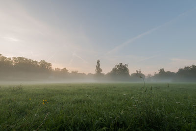 Scenic view of field against sky