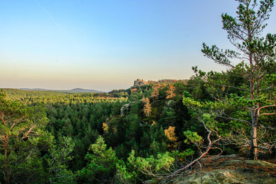 Scenic view of landscape against clear sky