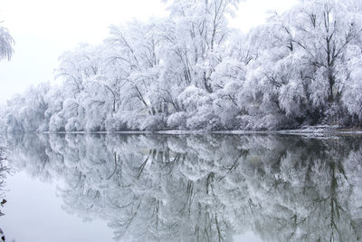 Frozen lake by trees against sky