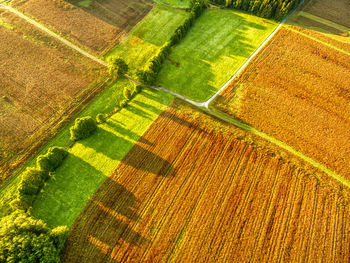 High angle view of agricultural field with green and brown colors