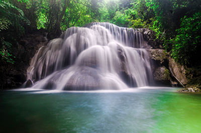 Scenic view of waterfall in forest