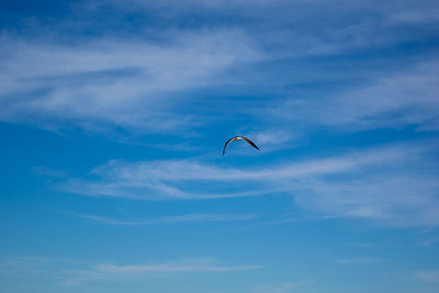 sky