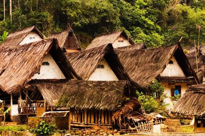 Houses with thatched roof in a village