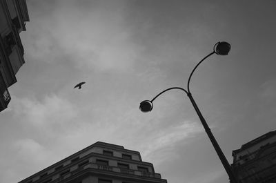 Low angle view of birds flying against sky