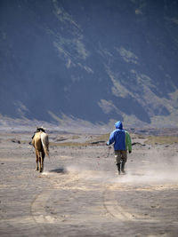 Rear view of man with horse walking on landscape against sky