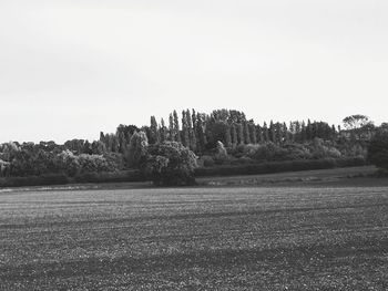 Trees on field against clear sky