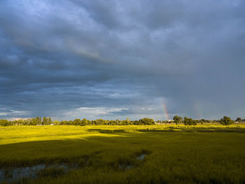 Scenic view of field against sky