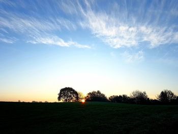 Silhouette trees on field against sky during sunset