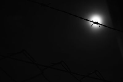 Low angle view of silhouette birds against sky at night