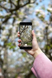 Human hand holding smart phone