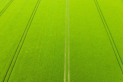 High angle view of plants growing on landscape