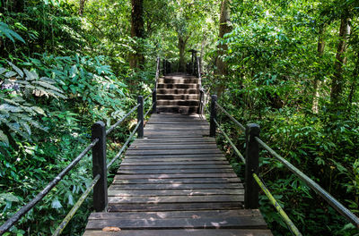 Wooden staircase in forest