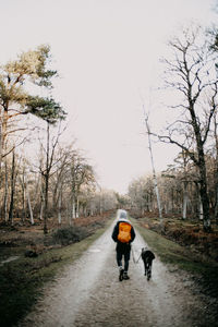 Rear view of man walking on road