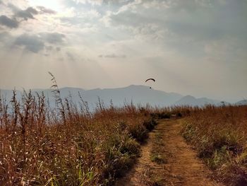 Scenic view of field against sky