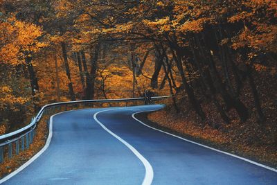 Road amidst trees during autumn