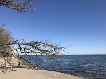 Scenic view of sea against clear blue sky