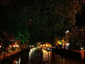 Reflection of trees in river