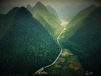 Scenic view of tree mountains